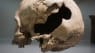Skelet-rester afslører: Oldtidsdanskere var tilrejsende fra fjerne egne